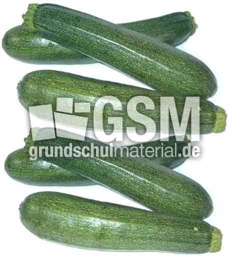 Zucchini-1x6.jpg